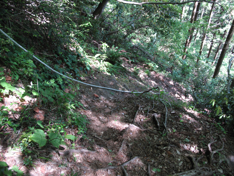 20140517hike (279)